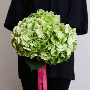 Buchet HORTENSIE