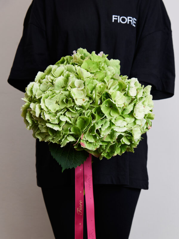 Buchet HORTENSIE