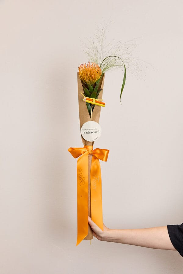 BUCHET NUTANS