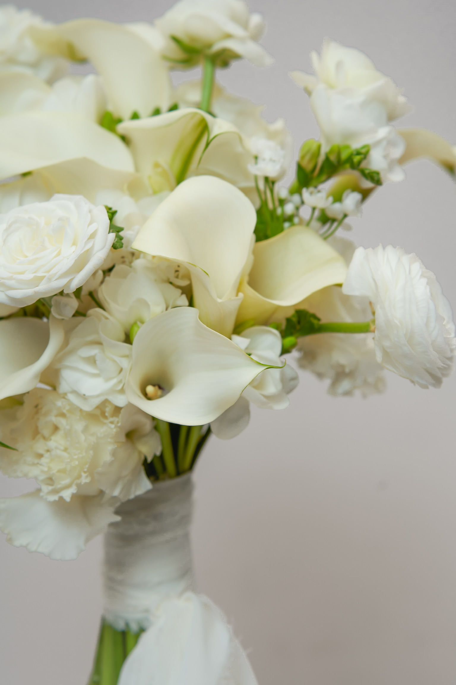 BUCHET HARMONIOUS 5