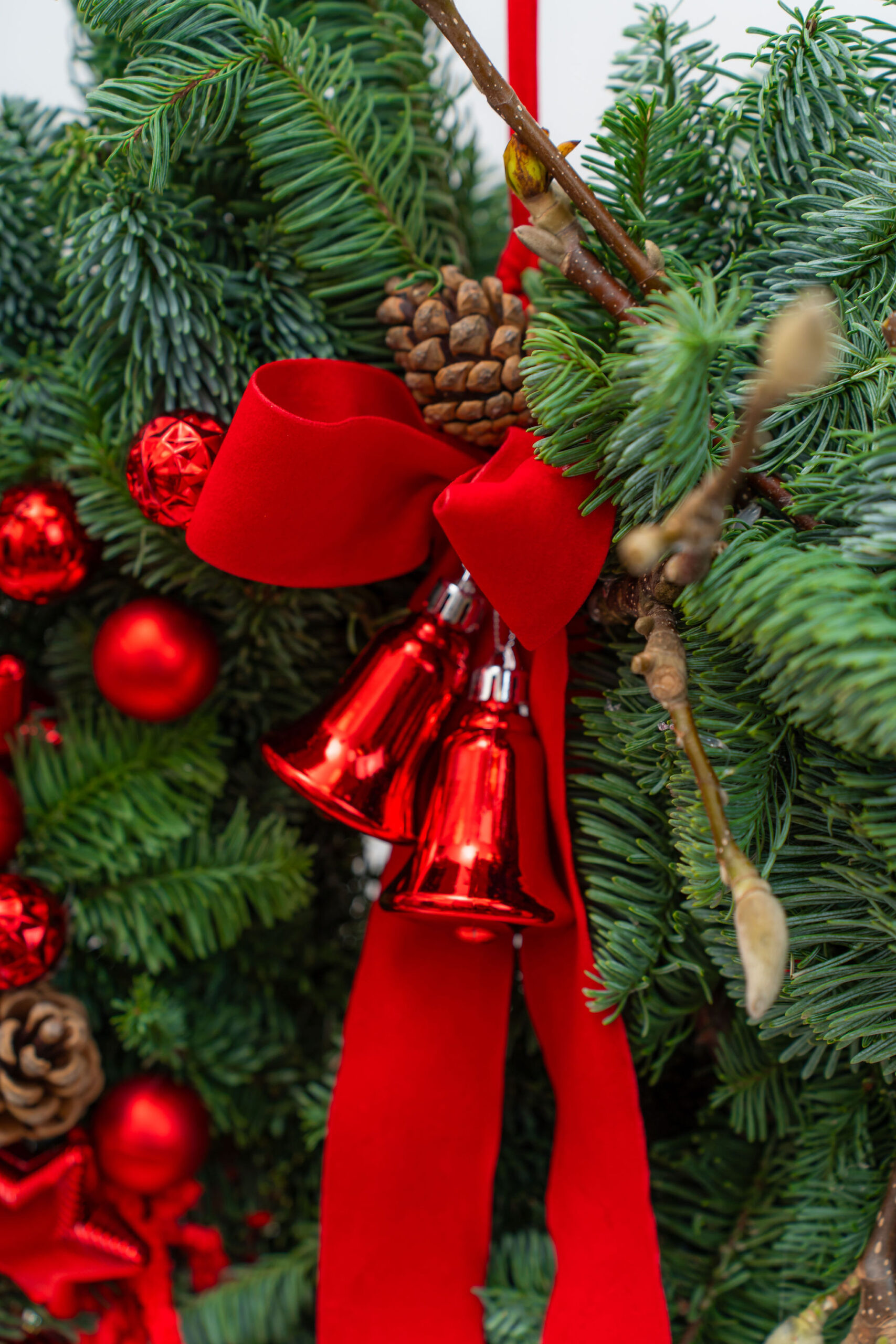 CORONITA HOLIDAY SPARKLES2