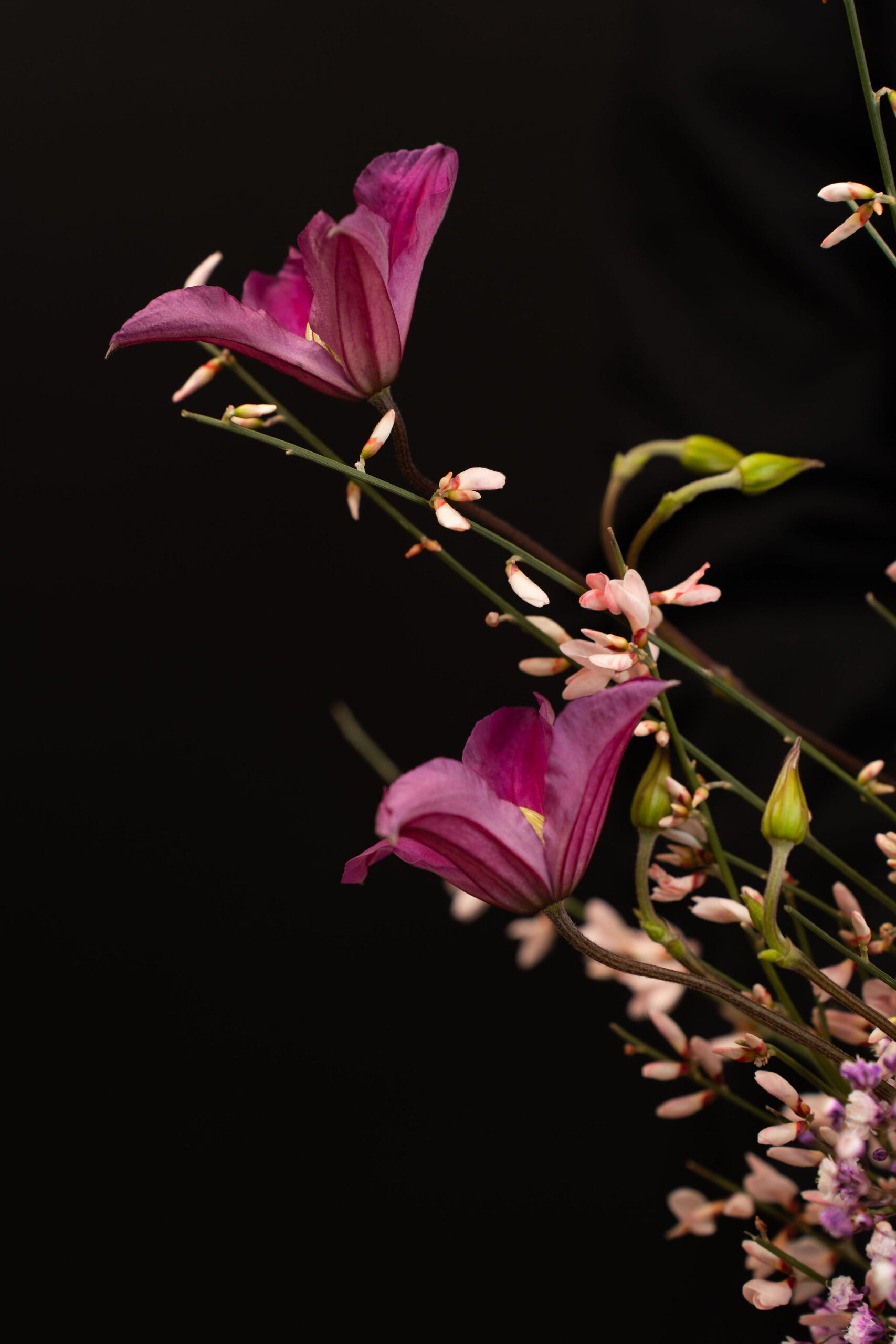 ARANJAMENT PINK GRACE 3