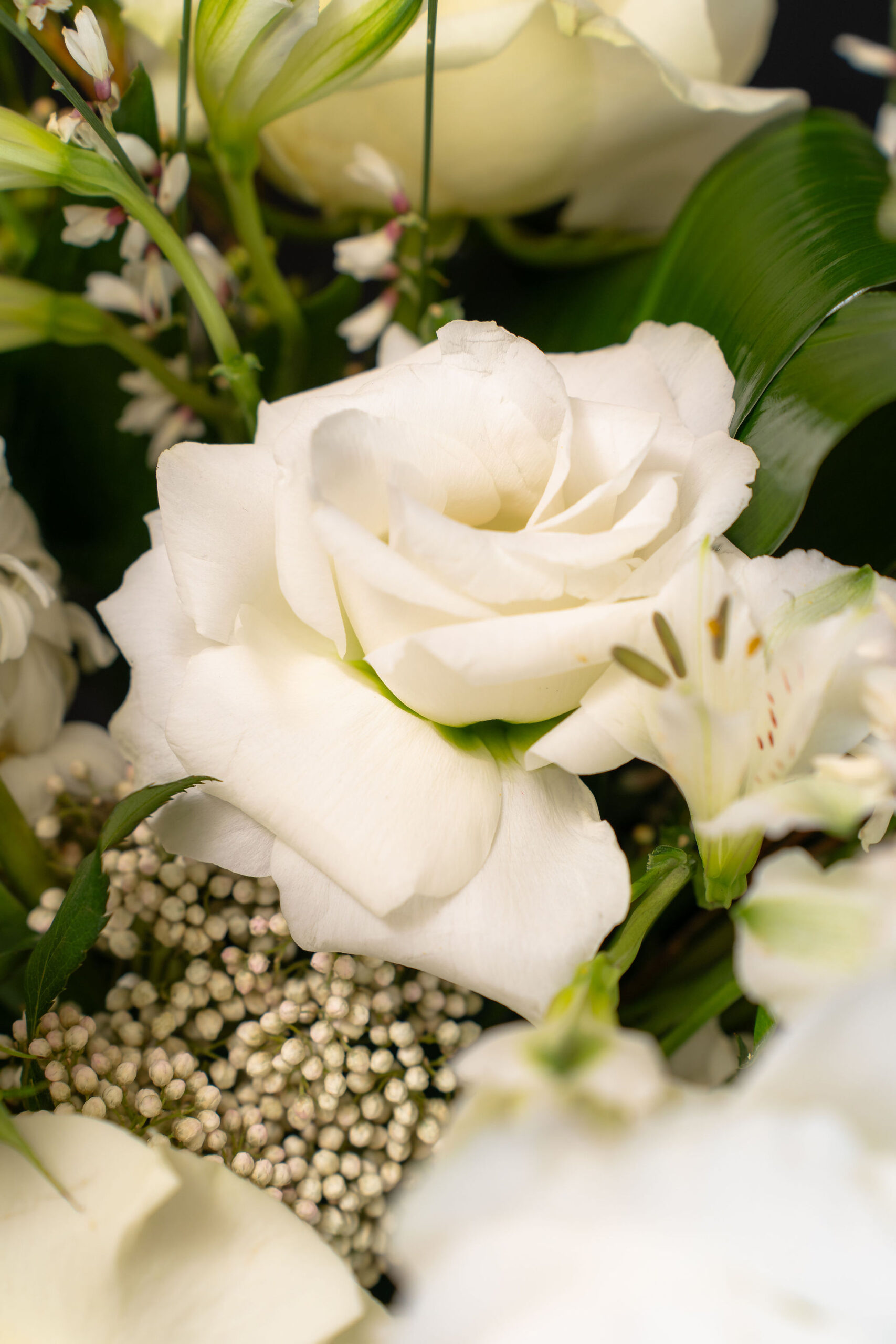 ARANJAMENT WHITE SPARKLE6