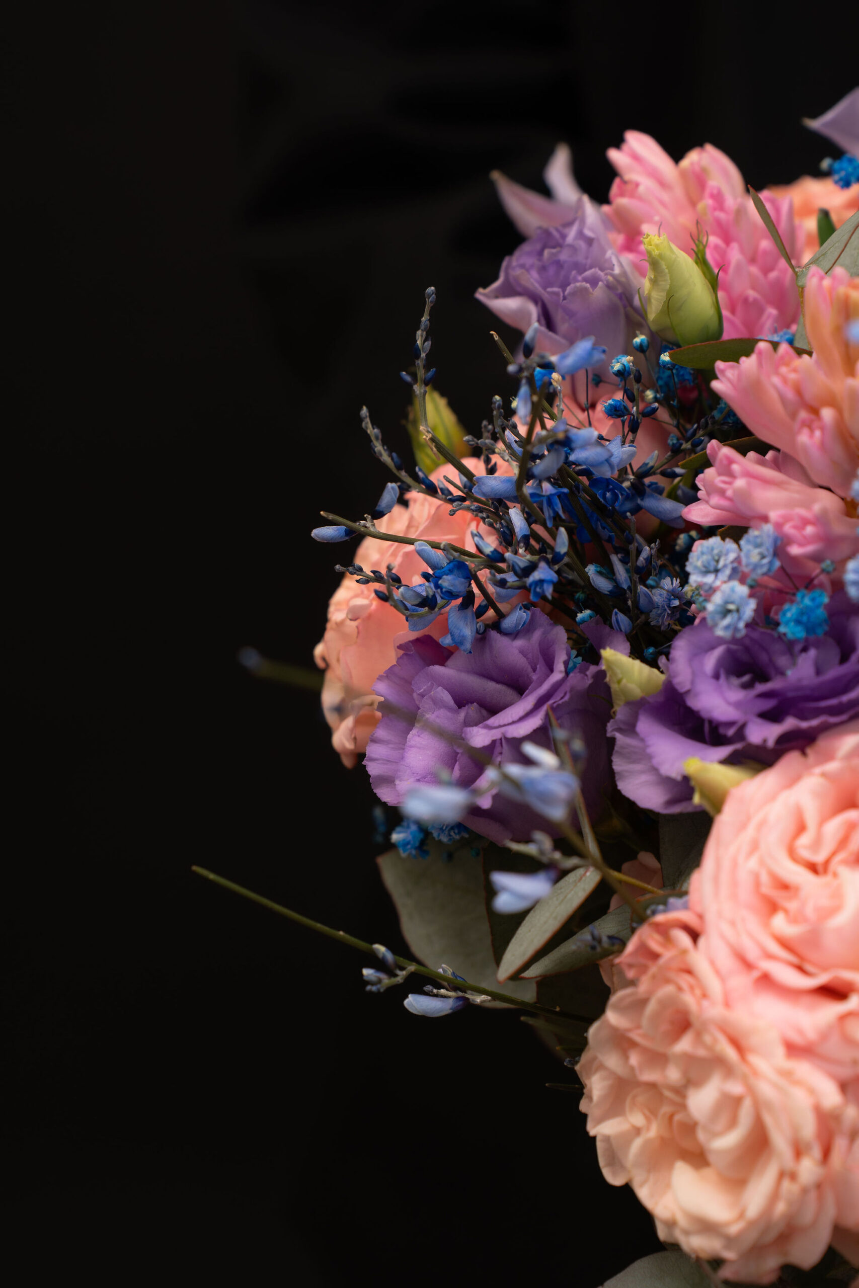 BUCHET AURORA 3