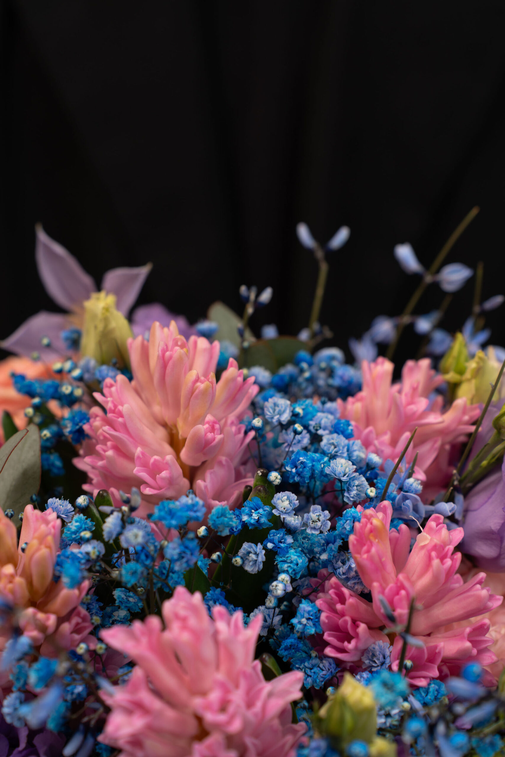 BUCHET AURORA 5