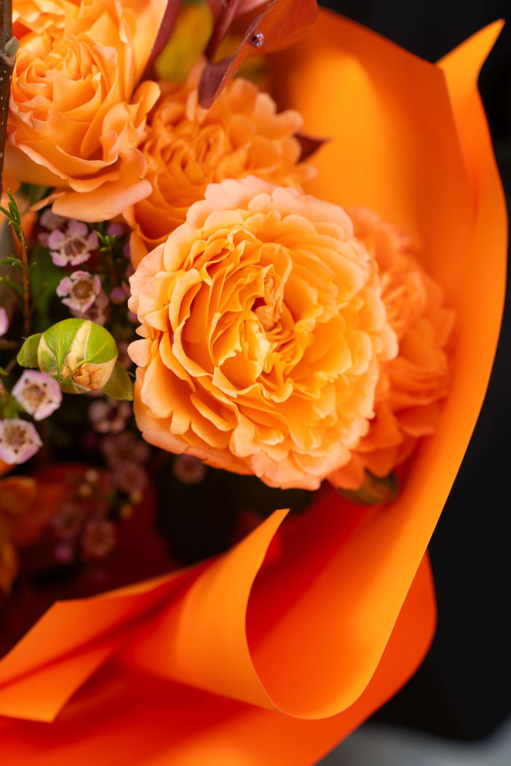 BUCHET BLUSH HARMONY3