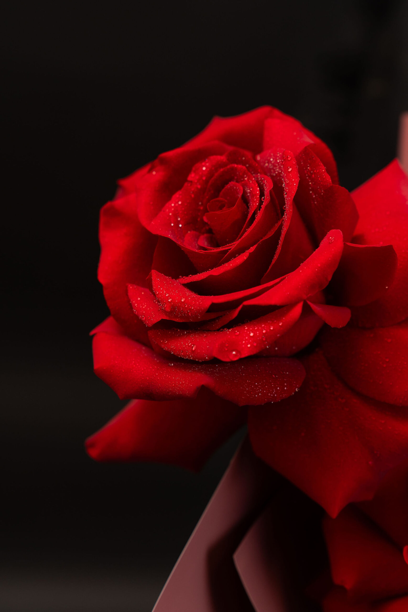 BUCHET FLEXED RED ROSES4