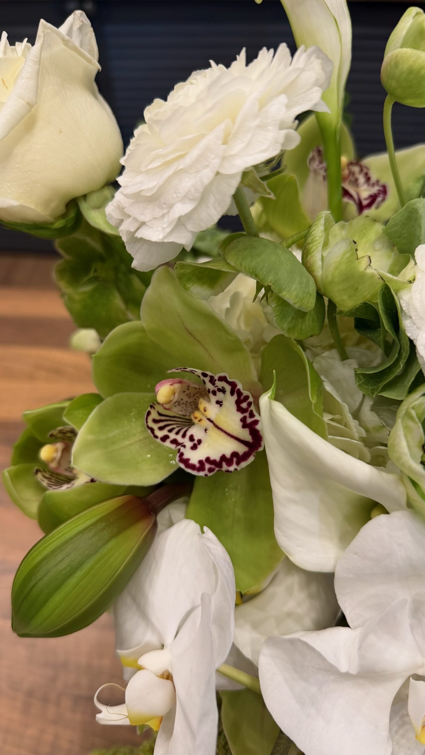 BUCHET GENTLE FOREVER 4