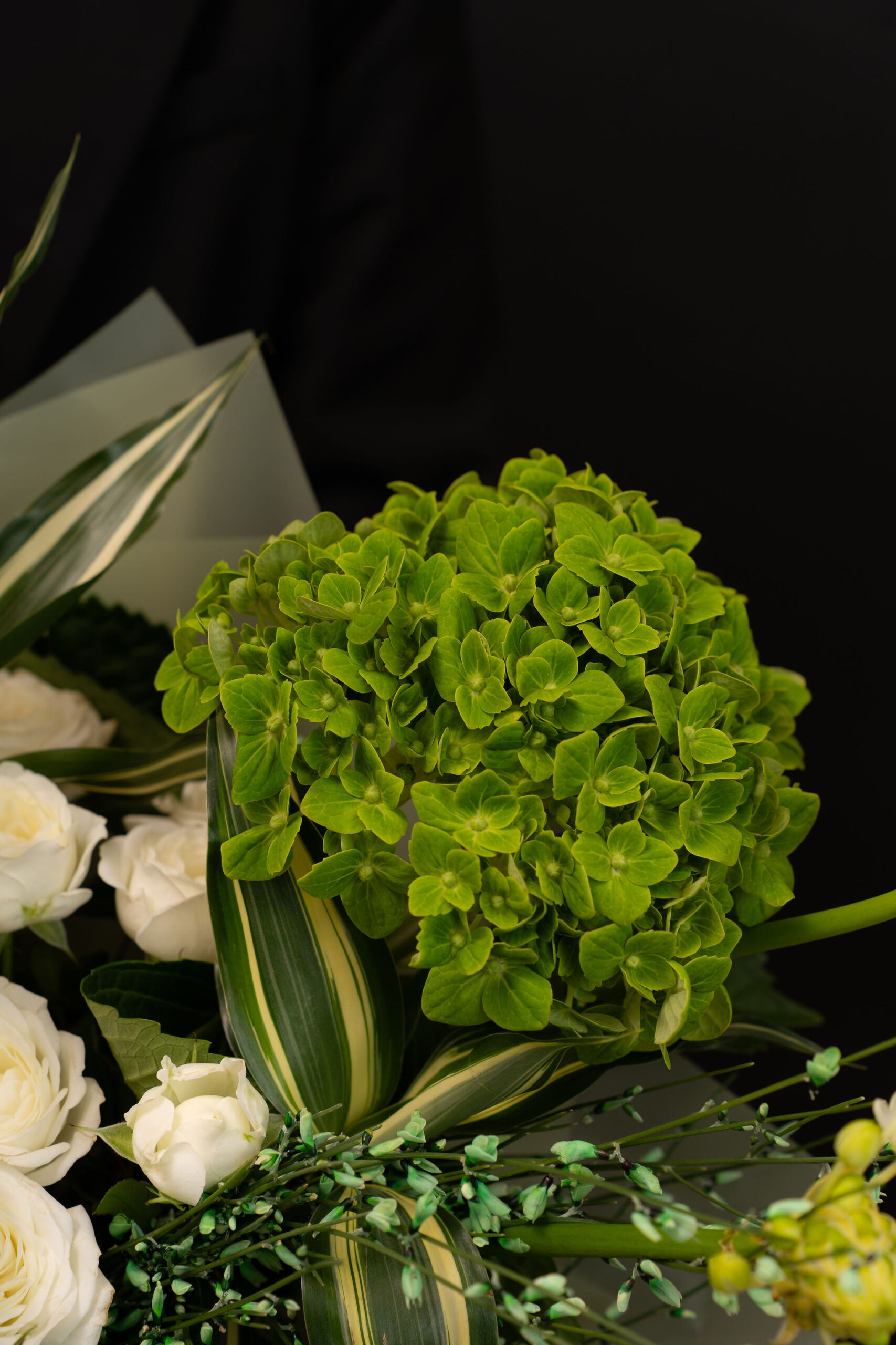 BUCHET IVORY2