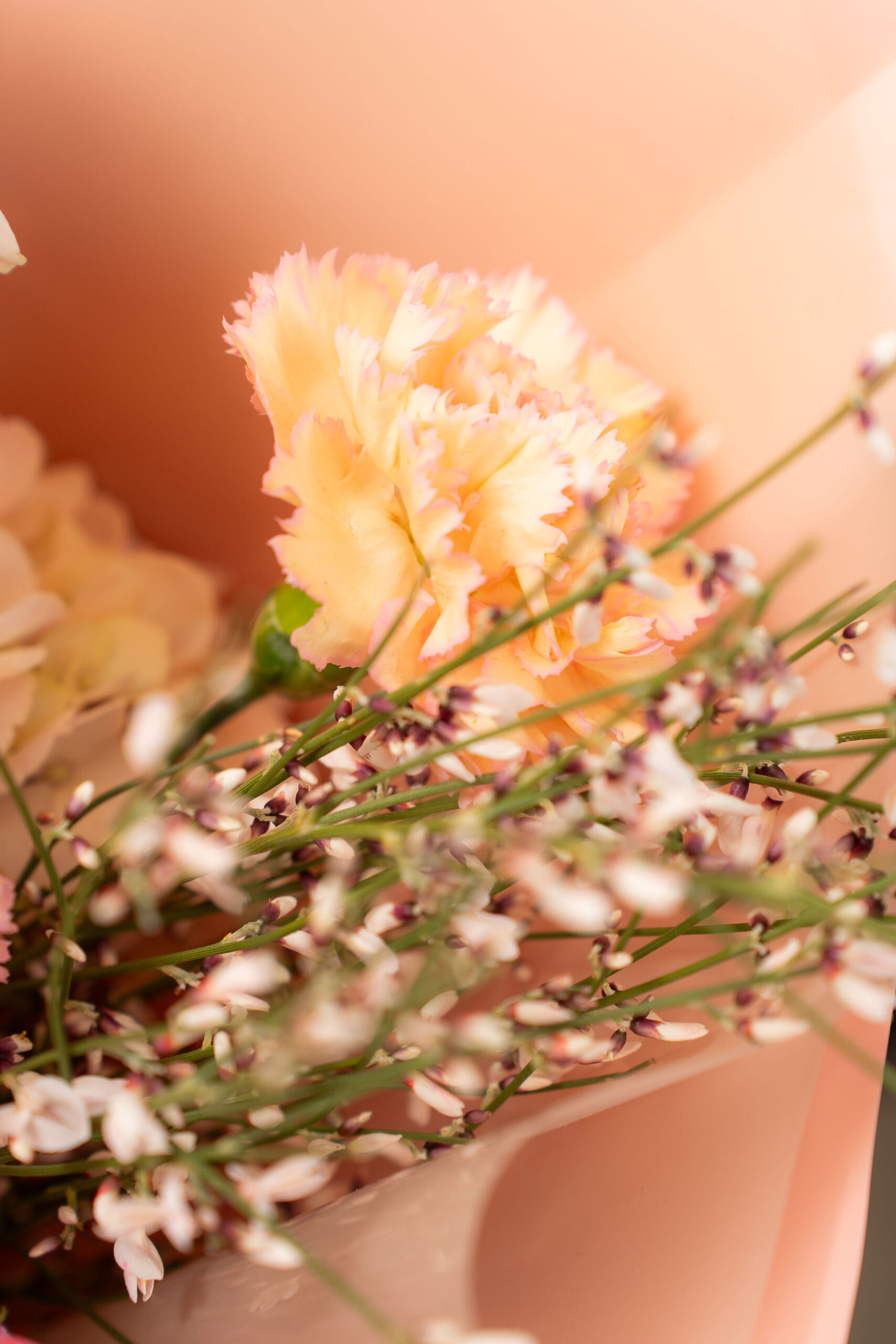 BUCHET PEACH PINK3