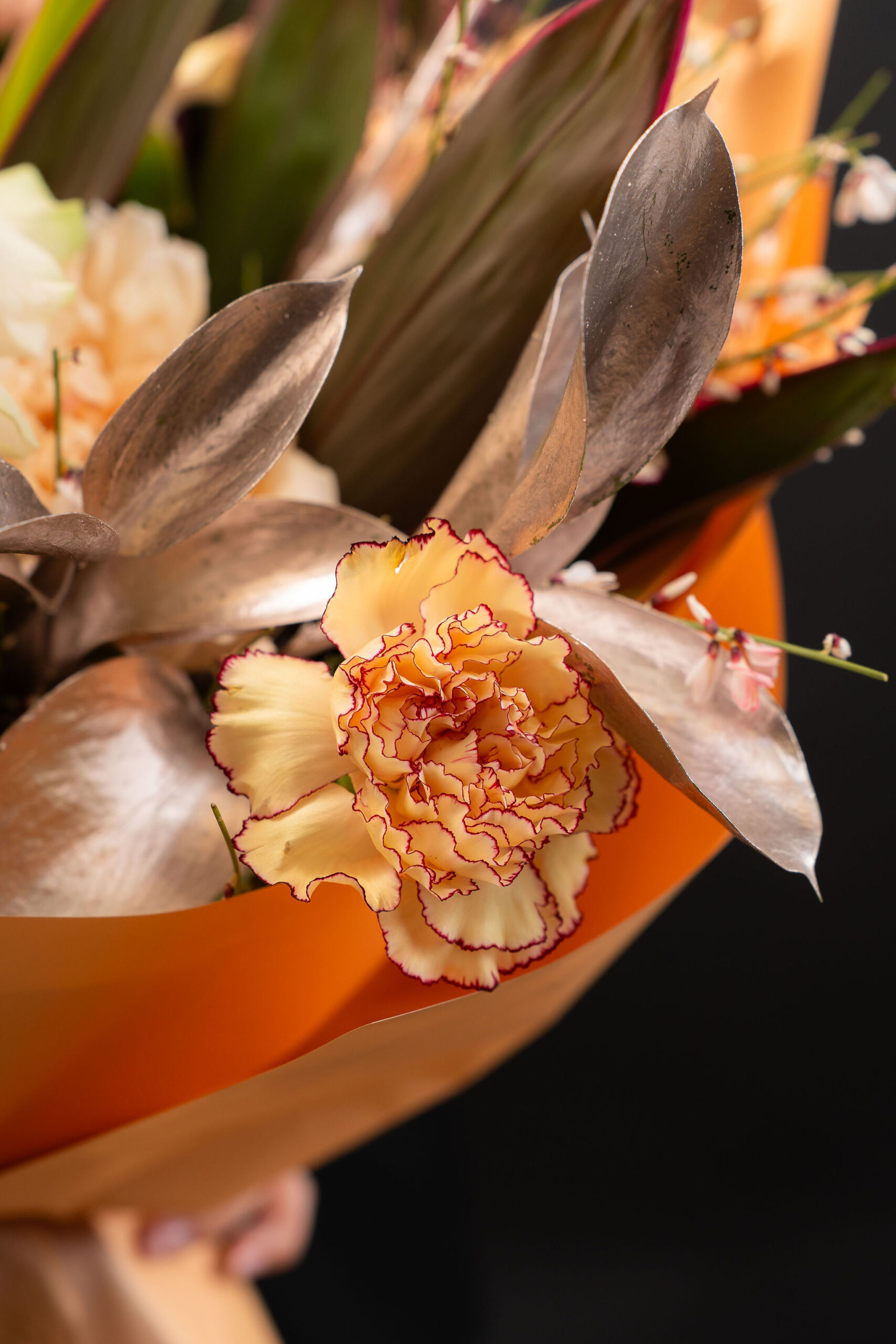 BUCHET STARLIGHT3