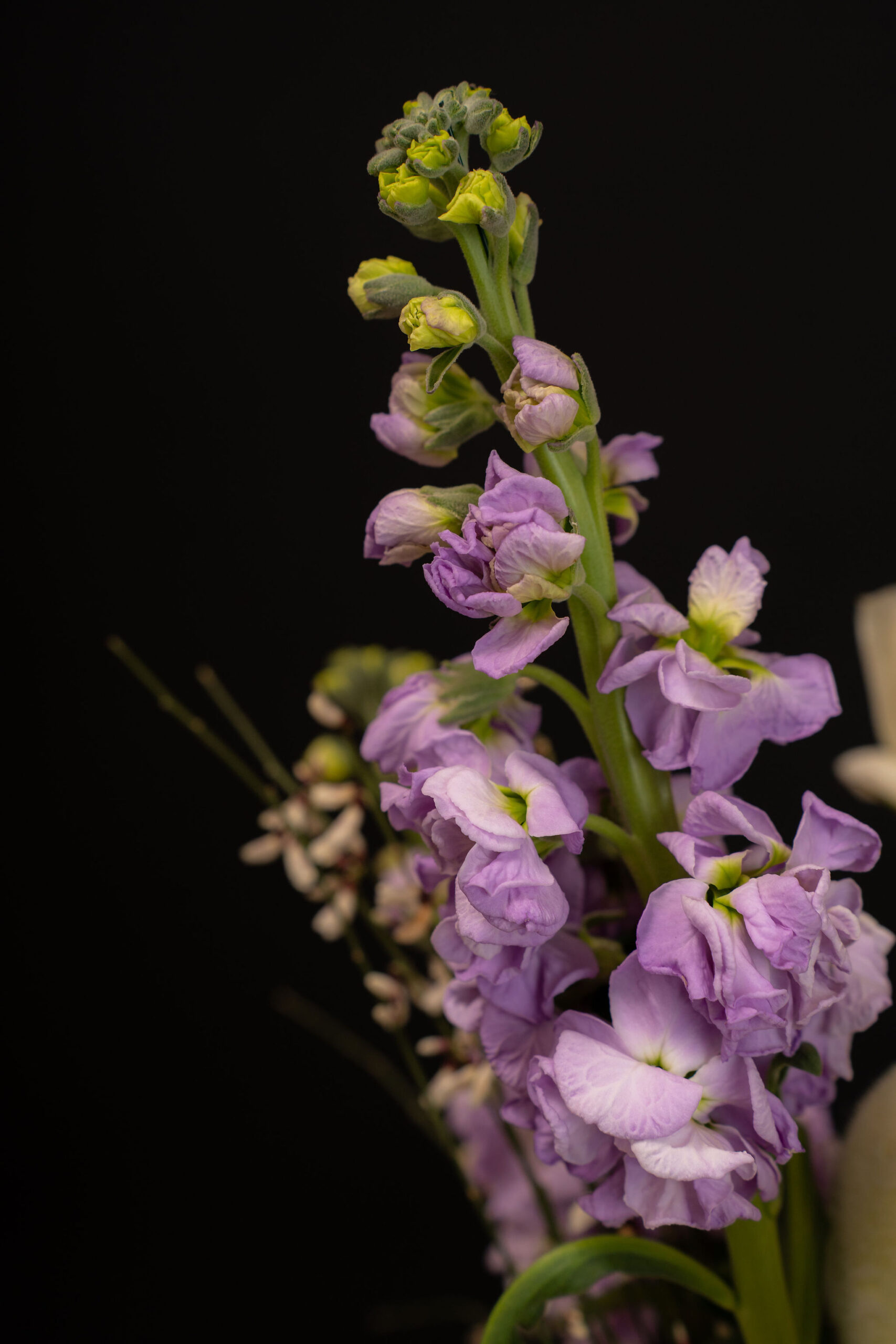 ARANJAMENT EASTER BLOOM3