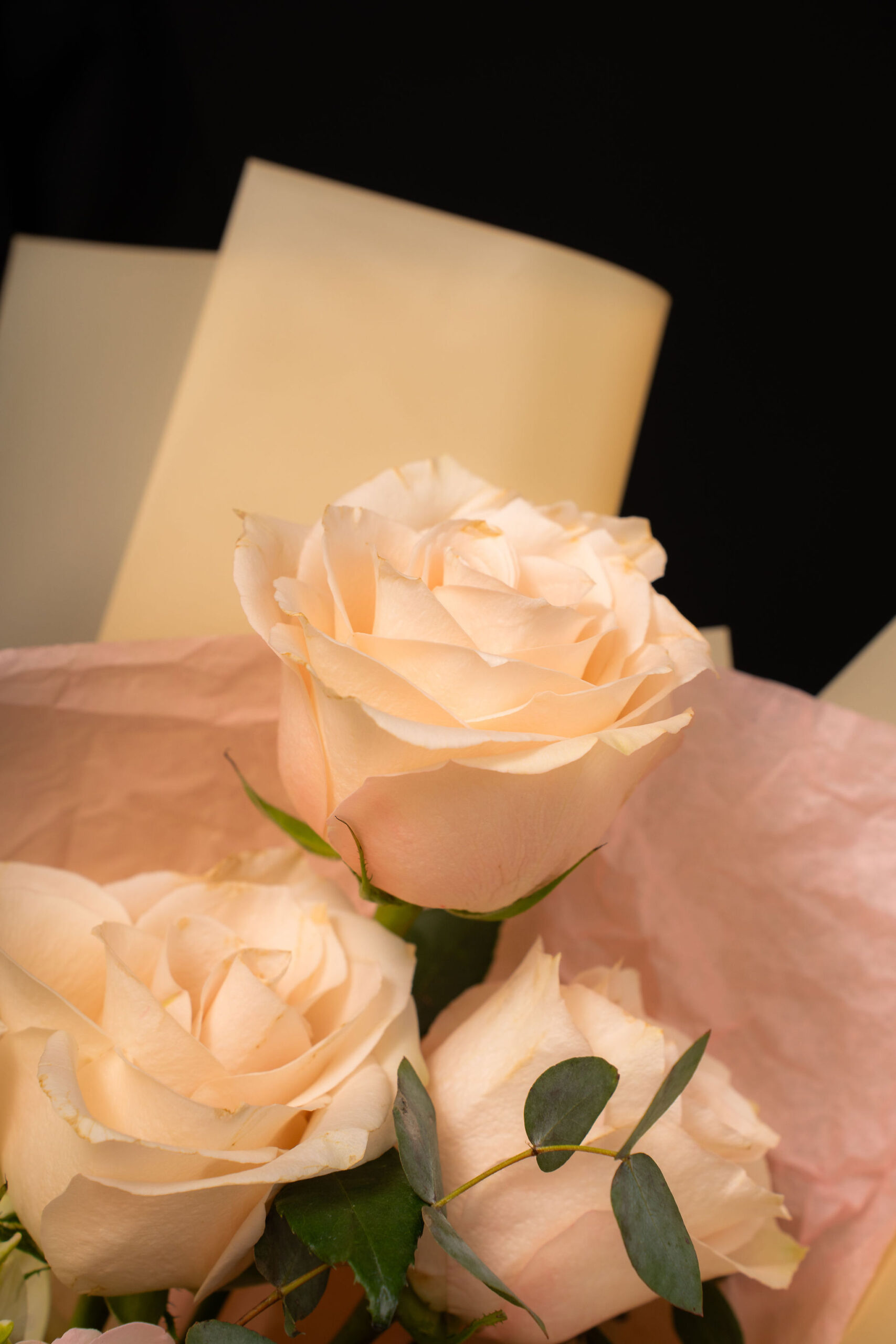 BUCHET SOFT HARMONY2