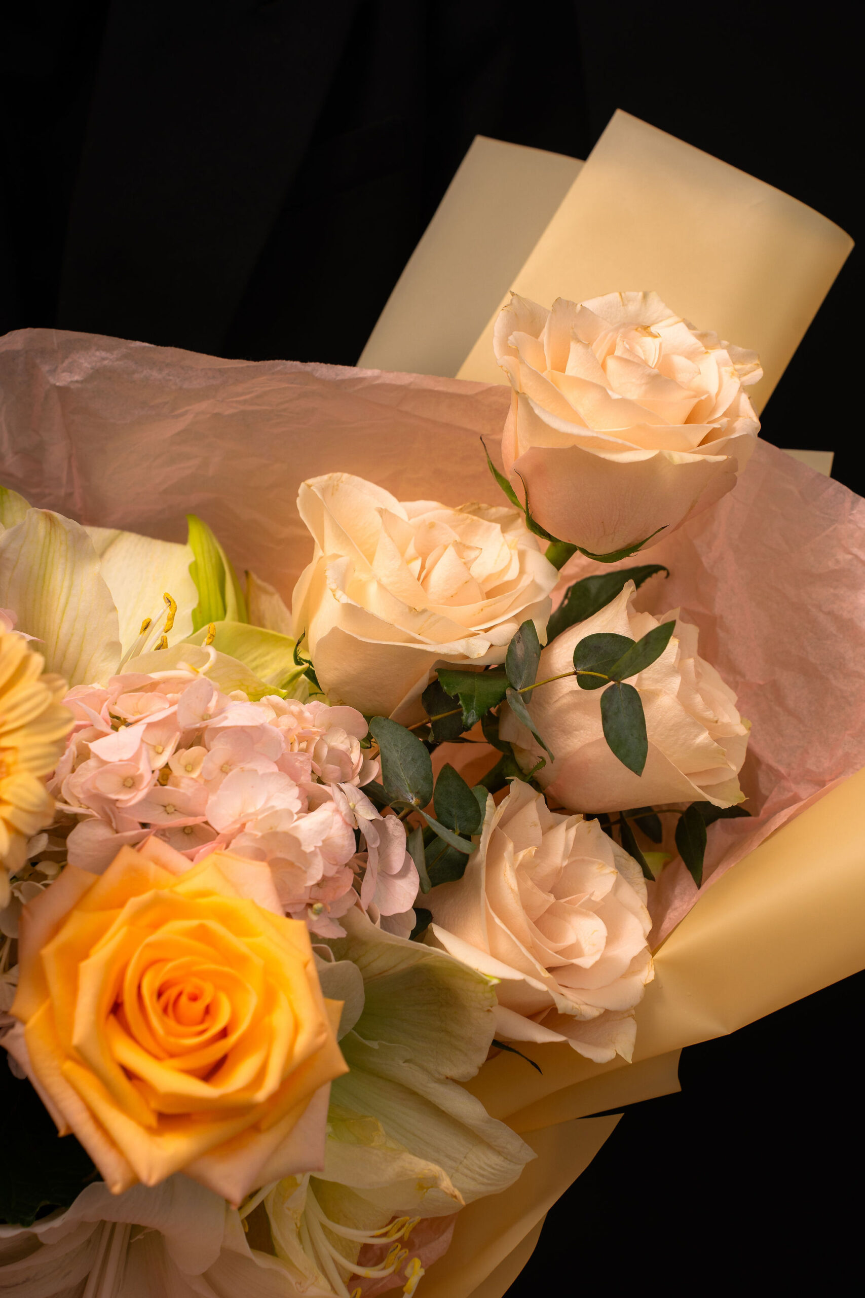 BUCHET SOFT HARMONY4
